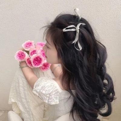 芭比与姐妹之赛马记